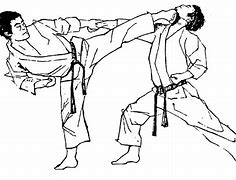 Image result for Martial Arts for Adults