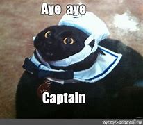 Image result for No Captain Meme