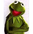 Image result for Cute Kermit