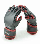 Image result for Martial Arts Cloth Gloves