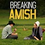 Image result for Breaking Amish Cast