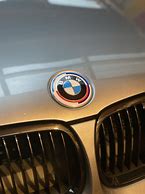 Image result for BMW Emblem Case