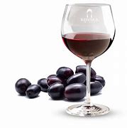 Image result for Plum Brand