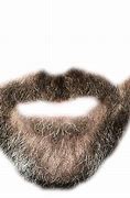 Image result for Jackson Galaxy without a Beard