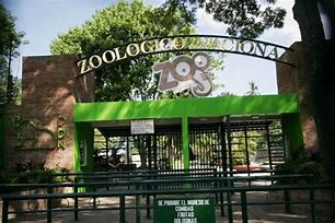 Image result for parque zoológico