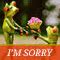 Image result for Images of Sorry I Forgot