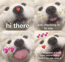Image result for Wholesome Memes Postivity