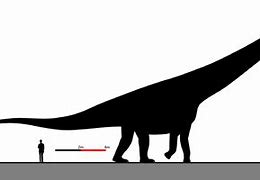 Image result for The Real Biggest Dinosaur Ever