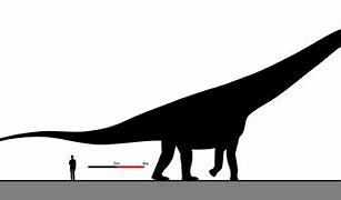 Image result for Biggest Dinosaur Name