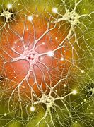 Image result for Universe Neural Network