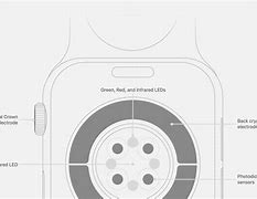 Image result for Sensors On the Back of an Apple Iwatch Series 6