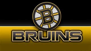 Image result for Boston Bruins