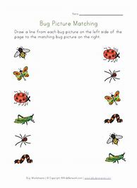 Image result for Printable Bug Worksheets