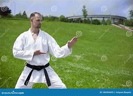 Image result for Karate Poses