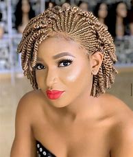 Image result for Braided Hair Wigs