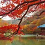 Image result for National Parks in Seoul South Korea