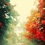 Image result for Fall iPhone Backgrounds