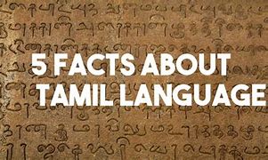 Image result for About Tamil Language