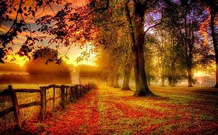 Image result for Free autumn screensavers