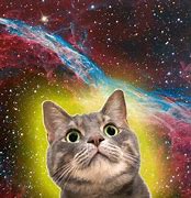 Image result for Galaxy Cat Design