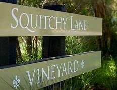 Image result for Squitchy Lane SQL Red Square