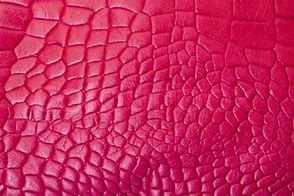 Image result for What Is a Leather