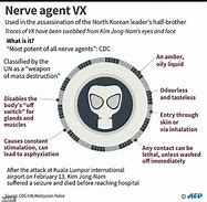Image result for VX Gas Victims