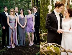 Image result for Breaking Dawn Part 1 Coven