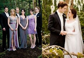Image result for Twilight Breaking Dawn Part 1 Cullen Family