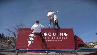Image result for coquino