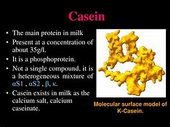 Image result for Casein in Milk
