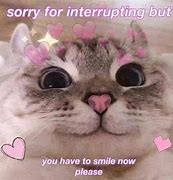 Image result for Wholesome Kawaii Memes