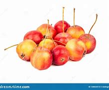 Image result for A Pile of Apple's