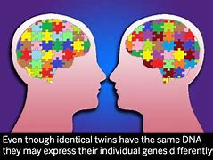 Image result for Do Twins Have the Same DNA