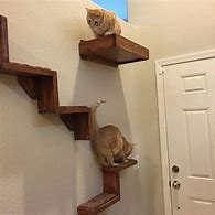Image result for Cat Ladder with Bed On Top