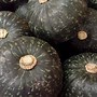 Image result for Squash Something