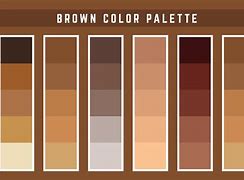 Image result for Brown Tint for Photoshop