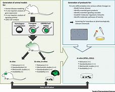 Image result for Drug Toxicity Experiment