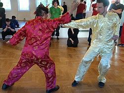 Image result for Five Animal Kung Fu Styles