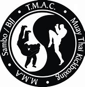 Image result for Martial Arts Logo Design