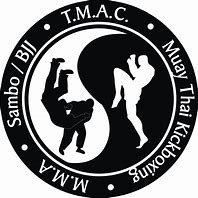 Image result for Mixed Martial Arts Logo