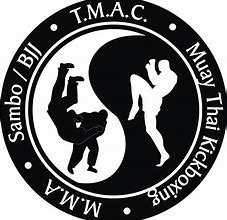 Image result for Martial Arts Logos and Designs