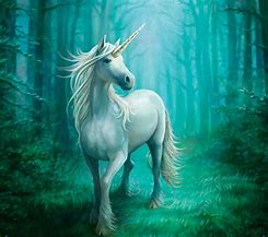 Image result for Black and Blue Unicorn