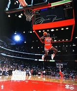 Image result for Michael Jordan Signature Dunk