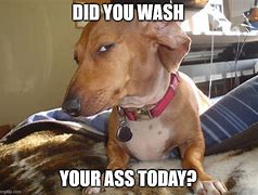Image result for Dog Looking Suspicious Meme