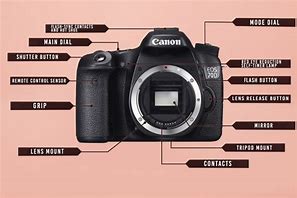 Image result for Basic Digital Camera Parts