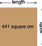 Image result for 20 Square Centimeters