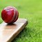 Image result for Who Draw a Cricket Bat