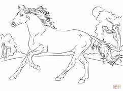 Image result for Thoroughbred Coloring Pages