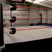 Image result for WWE Wrestling Ring for Pets